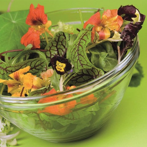 Blomster, tørrede 12g - STOR DÅSE